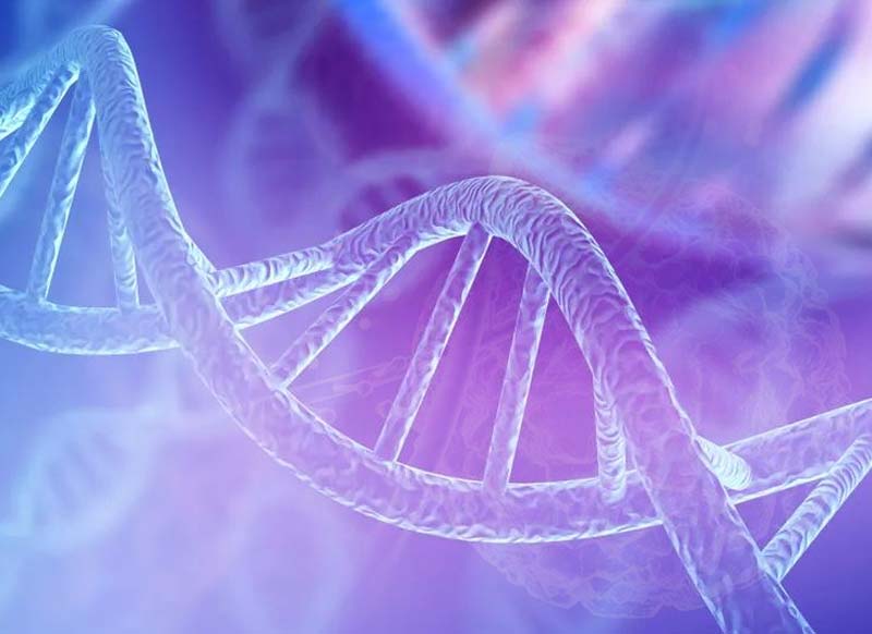 怎么定义生物科技，目前该领域内的重要成果有哪些